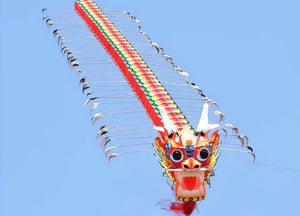 Tout savoir sur les festivals de cerfs-volants : histoire, tradition et événements