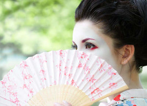 Les Geishas et leur rôle dans la culture populaire japonaise