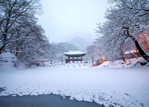 Le Japon en hiver : sports d'hiver et illuminations