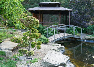 Les jardins japonais : histoire et signification