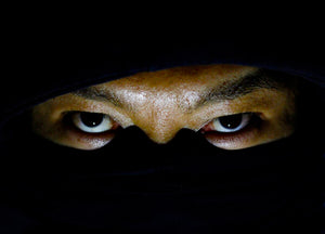 Les Ninjas : Gardiens Silencieux de l'Histoire du Japon