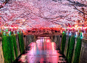 Sakura et bien plus : Guide ultime pour profiter du printemps japonais
