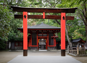 Exploration des Torii : Portes Vers le Spirituel au Japon