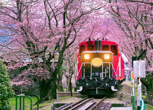 À bord des trains japonais : Une expérience unique