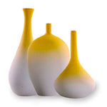 Vase Moderne Japonais (Edition Limitée)